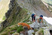 In vetta al Monte Valletto a tutta Birra dai Piani dell’Avaro il 23 giugno 2016  - FOTOGALLERY